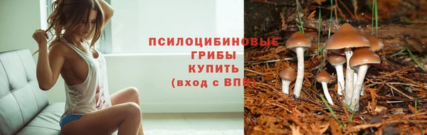 эйфоретик Магас