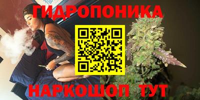 a pvp Кунгур