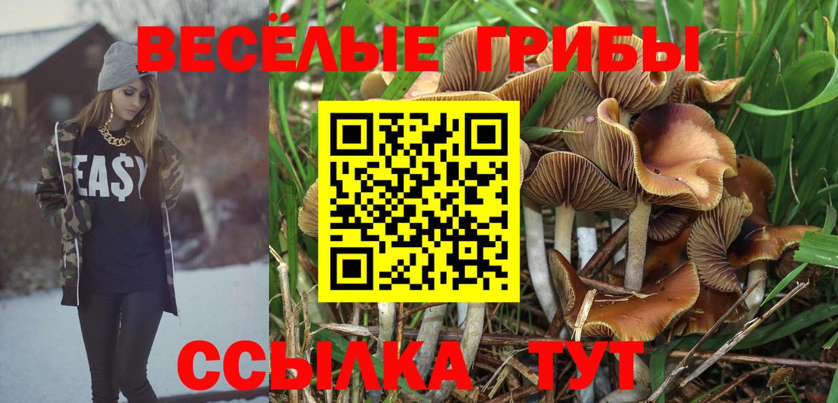 Галлюциногенные грибы мицелий Челябинск